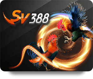 Nohu90 Casino Đẳng Cấp: Nơi Giao Lưu Văn Hóa Giải Trí